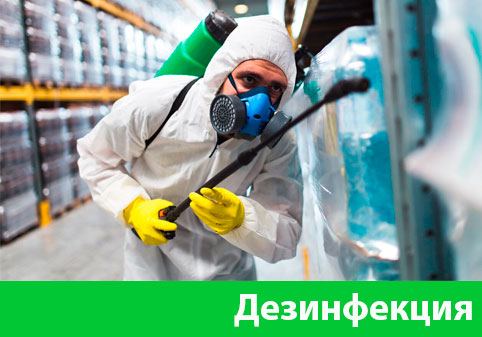 Дезинфекция в городе Мичуринск
