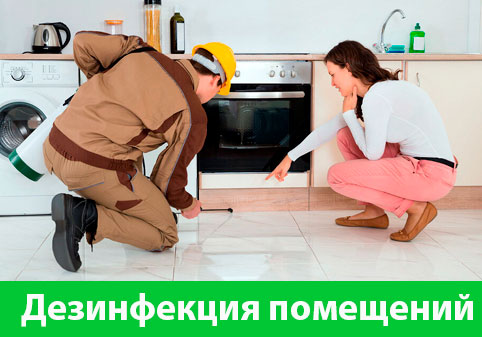 Дезинфекция офисов от коронавируса в городе Мичуринск