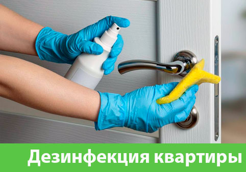 Дезинфекция квартиры в городе Мичуринск