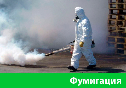 Фумигация в городе Мичуринск