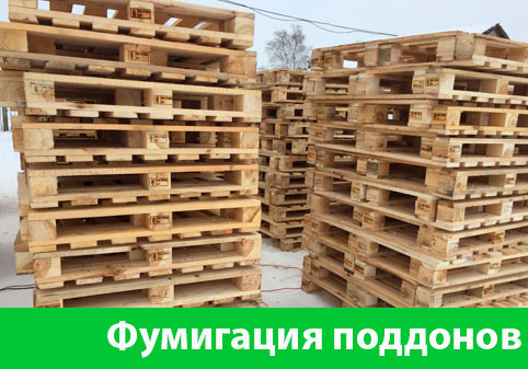 Фумигация поддонов в городе Мичуринск