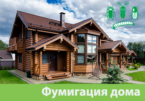 Преимущества обработки газом в городе Мичуринск