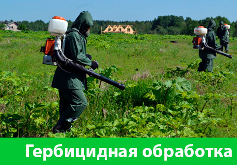 Гербицидная обработка в городе Мичуринск