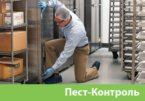 Пэст-Контроль в городе Мичуринск