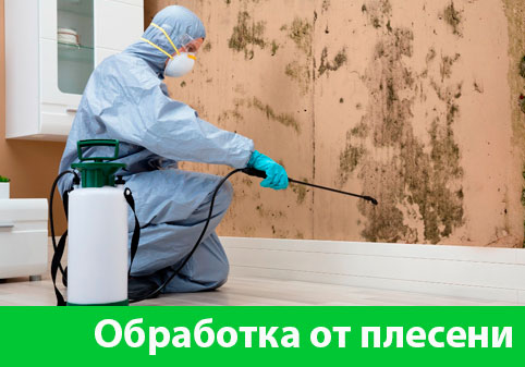 Обработка от плесени в городе Мичуринск