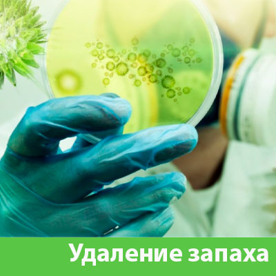 Удаление запахов в Мичуринске