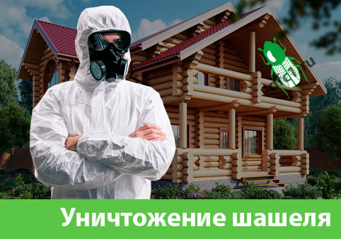 Уничтожение шашеля и личинок в Мичуринске