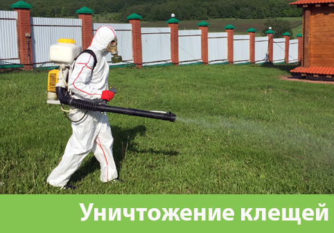 Уничтожение клещей в городе Мичуринск