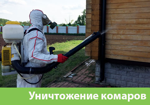 Уничтожение комаров в городе Мичуринск