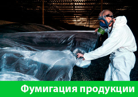Фумигация продукции в городе Мичуринск